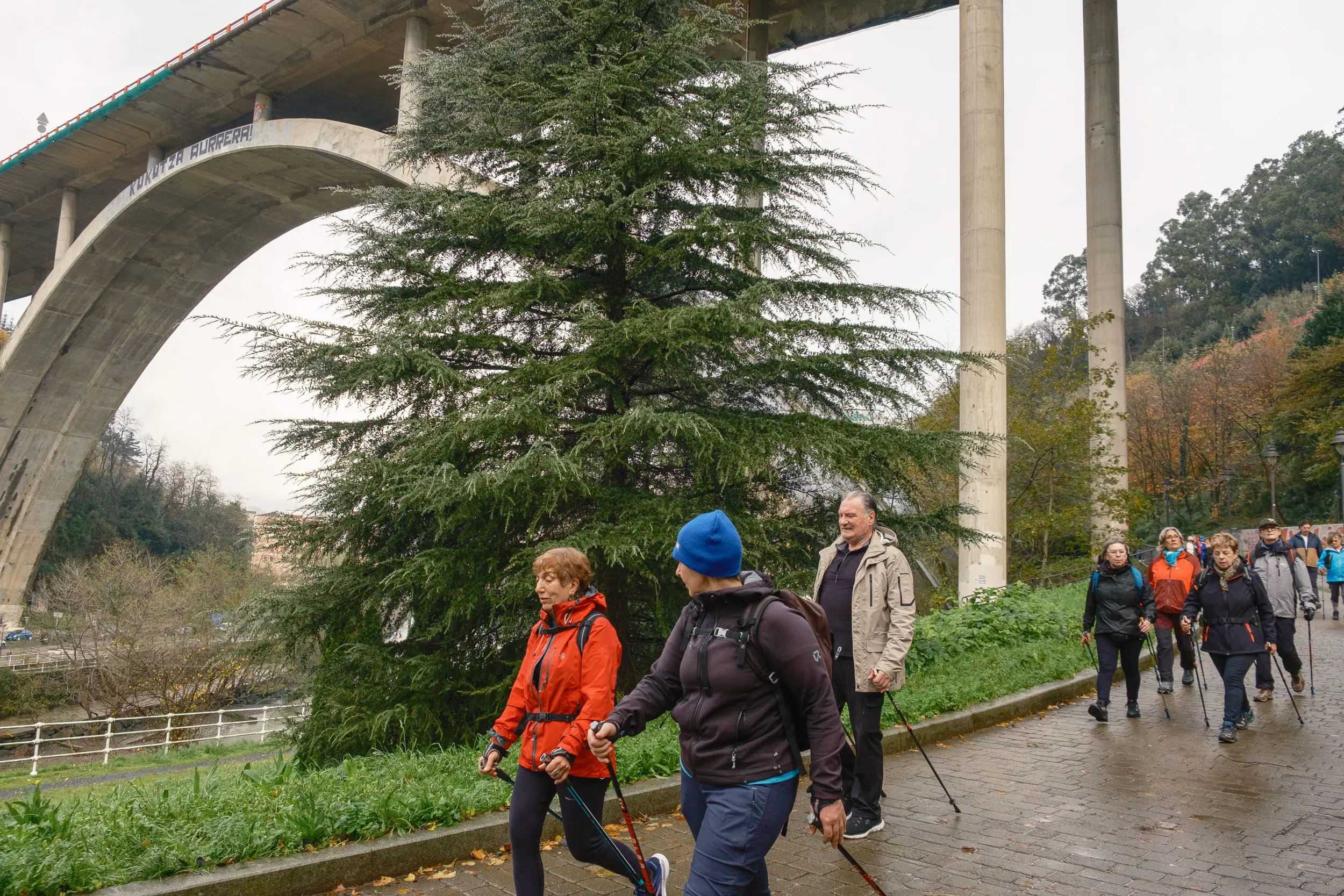MARCHA_NORDICA_10