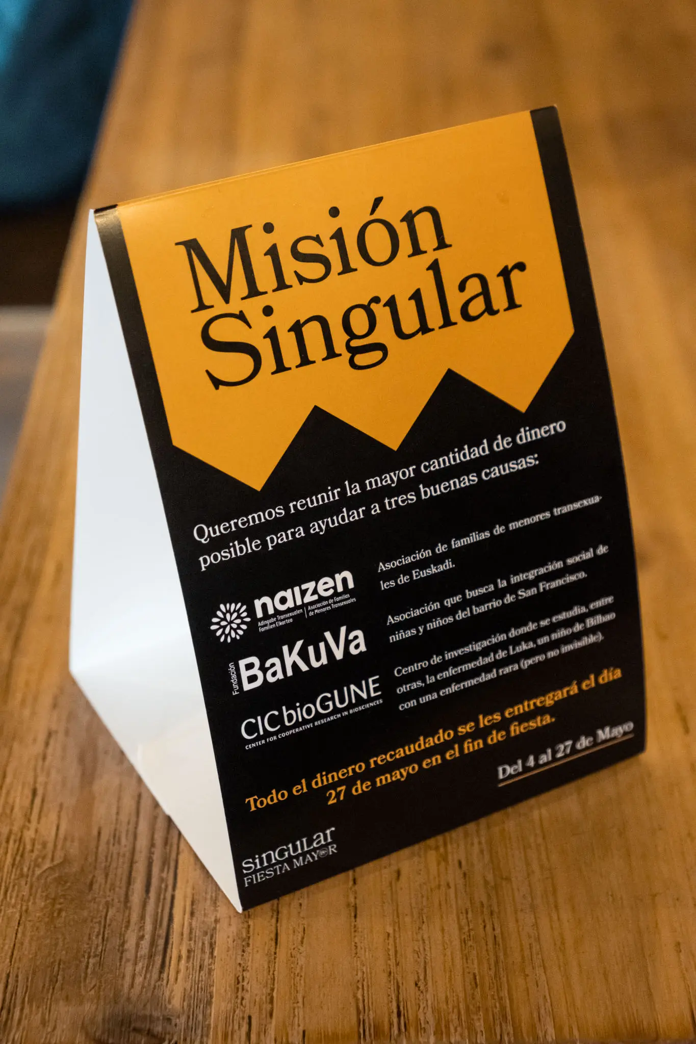 SINGULAR18_08